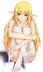 1girls blonde_hair blue_eyes breasts cleavage covered_pussy covering_breasts elf elf_female elf_girl female hawoku_ishibare long_hair looking_at_viewer panties panties_removed pointy_ears pussy sitting thighhighs tiffania_westwood zero_no_tsukaima