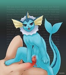 absurd_res anus clitoris digitoxici duo eeveelution english_text erection female female_on_human female_penetrated feral feral_penetrated finger_claws genitals hi_res human human_on_feral human_penetrating human_penetrating_feral interspecies male male/female male_on_feral male_penetrating male_penetrating_female mammal meme navel nintendo open_mouth penetration penis penis_grab pokémon_(species) poképhilia pokemon pokephilia pussy text vaginal_penetration vaporeon vaporeon_copypasta video_games zoophilia