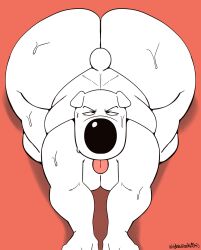 brian griffin from family guy by wit 1