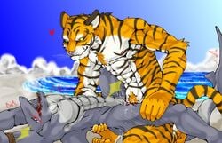 14:9 2007 anthro barazoku beach blush bound duo felid fur heart humanoid_hands kemono male male/male mammal marine muscular muscular_male outside pantherine rope seaside sex tiger unknown_artist white_body white_fur yellow_body yellow_fur