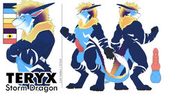 amit anthro dragon genitals hi_res knot model_sheet muscular penis sheet_(disambiguation) storm teryx teryx_commodore