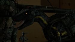 16:9 3d 3d_(artwork) 3d_animation animated armed black_body black_scales blonde_highlights claws closed_eyes clothed clothed_feral clothed_male clothing crate dangerous digital_media_(artwork) dinosaur dromaeosaurid duo erection faceless_character faceless_male feathered_dinosaur feathered_scalie feathers fellatio feral feral_penetrated finger_claws frontier_developments genitals gun headgear hi_res highlights_(coloring) holding_head human human_on_feral human_penetrating human_penetrating_feral humanoid_genitalia humanoid_penis indoraptor interspecies ireallyliketanks jurassic_park_(franchise) jurassic_world jurassic_world_evolution laser laser_pointer licking light-skinned_male male male/male male_penetrated male_penetrating male_penetrating_male mammal military_gear movie_accurate no_sound oral oral_penetration outside oversized_fellatio oversized_oral penetration penile penis penis_on_tongue plant prehistoric_species quills_(anatomy) ranged_weapon reptile ripper_(jurassic_world) saurischian scales scalie sex sharp_teeth short_playtime steyr_aug tagme teeth theropod tongue tree universal_studios video warehouse weapon widescreen zoophilia