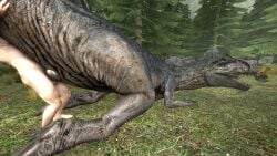 3d_(artwork) 3d_animation allosaurid allosauroid allosaurus animal_genitalia animated cloaca cloacal cloacal_penetration day digital_media_(artwork) dinosaur duo faceless_character faceless_male female female_penetrated feral feral_penetrated forest forest_background from_behind_position genitals hi_res human human_on_feral human_penetrating human_penetrating_feral humanoid_genitalia humanoid_penis interspecies ireallyliketanks jurassic_park jurassic_park_(franchise) jurassic_world larger_penetrated looking_pleasured male male_on_feral mammal nature nature_background no_sound nude_male on_kness outside penetration penis plant prehistoric_species reptile saurischian scalie sex short_playtime size_difference small_dom_big_sub source_filmmaker_(artwork) tagme tail tail_grab theropod tree universal_studios video zoophilia