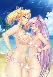 2girls big_breasts blonde_hair felicia_(taimanin_kurenai) long_hair pink_hair shinganji_kurenai sisters small_breasts swimsuit taimanin_(series) taimanin_kurenai twintails