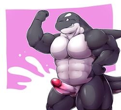 2021 anthro barazoku black_body bodily_fluids cetacean delphinoid erection genitals male mammal marine muscular muscular_anthro muscular_male oceanic_dolphin orca penis solo sweat toothed_whale unagi_bukuro white_body