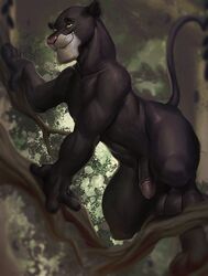 alexalaz anthro bagheera disney felid genitals male male_only male_solo mammal nude pantherine penis plant solo the_jungle_book tree