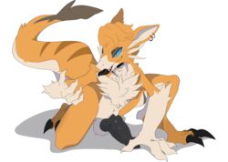 absurd_res balls blin fur furry furry_only genitals hi_res luuriolu male male_only orange_body orange_fur penis piercing pose praimortis solo tail tongue