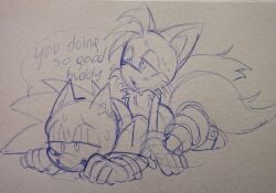 mobian (species) from sega by martyjade23