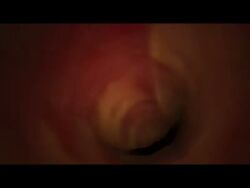 3d 3d_animation giantess kiana_kaslana pov sex sex_toy tagme video vore