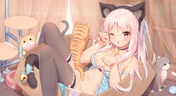 1girl animal animal_ears babydoll bangs bare_shoulders bell black_choker black_hairband black_thighhighs blue_bow blue_panties blue_ribbon blush bottomless bow bow_panties box breasts cardboard_box cat cat_ears cat_teaser choker cleavage collarbone curtains fake_animal_ears feet_out_of_frame feline frilled_thighhighs frills hair_ribbon hairband hands_up highres in_box in_container indoors jingle_bell long_hair medium_breasts navel one_eye_closed one_side_up original panties panties_removed parted_lips paw_pose pink_hair purple_thighhighs red_eyes ribbon shenhai_(2556146833) solo tagme_(artist) tail tail_bell tail_bow tail_ornament thighhighs underwear underwear_only very_long_hair