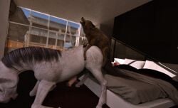 3d bedroom canid canine canis digital_media_(artwork) duo equid equine feral genitals hi_res horse kneeling male male/male mammal penetration penis trioami260 wolf