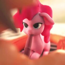 animated anthro_on_anthro dcd fellatio feral feral_penetrated furry horsecock my_little_pony oral pinkie_pie_(mlp) sound tagme video