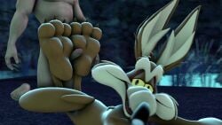 coyote feet foot_fetish footjob gay gay_sex human humanoid humanoid_penis looney_tunes wile_e._coyote