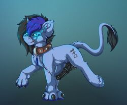 2019 6:5 absurd_res alternate_version_at_source animal_genitalia animal_penis balls black_mane black_tail blue_body blue_fur claws collar collar_tag cutie_mark equid equine equine_penis erection fan_character feral fetlocks fkk flared_penis fur genitals gradient_background hasbro hi_res hooves horn inner_ear_fluff licking licking_lips looking_at_viewer male mammal mane medial_ring multicolored_mane my_little_pony paws penis pupils purple_mane quadruped simple_background slit_pupils smile solo tail_tuft teal_background teal_eyes tongue tongue_out tuft unicorn vein veiny_penis werepony