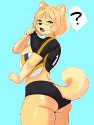 kitsukaelkami canid canine canis domestic_dog mammal shiba_inu spitz 3:4 absurd_res hi_res anthro big_butt bodily_fluids breasts butt clothing female hair looking_at_viewer solo sport surprised sweat tail tight_clothing volleyball