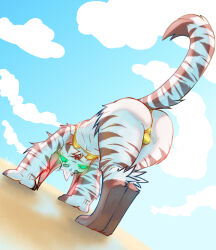 2026 all_fours anthro balls_outline big_but bikini biped black_markings black_stripes bulge butt cheek_tuft clothed clothing crossdressing day detailed_bulge dipstick_tail domestic_cat eyebrows facial_tuft felid feline felis femboy fingerless_(marking) fur galo galo_(character) genital_outline glowing glowing_eyes gold_bikini golden_week head_tuft hi_res looking_at_viewer looking_back looking_back_at_viewer male mammal markings nipple_outline open_mouth outside presenting presenting_hindquarters raised_tail rear_view red_nose red_sclera sharp_teeth solo striped_body striped_fur stripes swimwear tail tail_markings teeth text thick_thighs tongue tuft two-piece_swimsuit white_body white_fur wide_hips