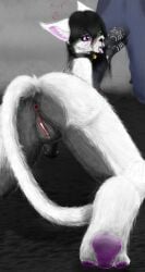 2025 2_penises absurd_res after_fellatio after_oral after_sex animal_genitalia animal_penis anthro anus barbed_canine_penis bell bell_collar big_penis black_hair black_nose bodily_fluids canid canine canine_genitalia canine_penis collar cum cum_drip cum_in_mouth cum_in_vagina cum_inside cum_on_face cum_on_penis detailed detailed_fur digital_drawing_(artwork) digital_media_(artwork) domestic_cat dripping duo erection faceless_character faceless_male feet felid feline felis female foot_focus fox freckled_face freckles fur genital_fluids genitals grey_background grey_body grey_freckles grey_fur hair heart_symbol heterochromia hi_res hindpaw hybrid_genitalia hybrid_penis inner_ear_fluff interspecies kneeling long_hair looking_at_genitalia looking_at_penis looking_pleasured male male/female mammal multi_genitalia multi_penis multicolored_body navel nipples nude_anthro o9urec on_hind_legs origin pawpads paws penile_spines penis pink_inner_ear pink_nipples purple_pawpads rear_focus rear_view saliva saliva_drip saliva_string simple_background spread_legs spreading tail teeth tuft two_tone_body vulva white_body white_fur white_inner_ear_fluff white_tail