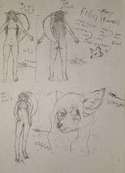 Freya (Finrirxinf) Rule 34 Image