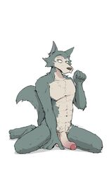 abs anthro athletic athletic_anthro athletic_male beastars canid canine canis delirost fur genitals grey_body grey_fur hi_res humanoid_genitalia humanoid_penis legoshi_(beastars) male male_only mammal nude pecs penis simple_background solo white_background wolf