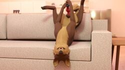 16:9 1girls 2023 3d 3d_(artwork) 3d_animation anatomically_correct anatomically_correct_genitalia anatomically_correct_vulva animal_dildo animal_genitalia animal_sex_toy animal_vulva animated animation canid canine canine_dildo canine_genitalia canine_pussy canine_vulva canis close-up closed_eyes digital_media_(artwork) dildo dildo_in_pussy dildo_in_vagina dildo_insertion domestic_dog female female_feral female_orgasm female_penetrated feral feral_penetrated fur furniture furry genitals german_shepherd happy herding_dog hi_res high_framerate husky jl017_(sound) kaerfflow knot knotted_dildo knotting long_playtime looking_pleasured mammal masturbation moan moaning moaning_in_pleasure nordic_sled_dog open_mouth orgasm pastoral_dog penetration plump_labia pussy pussy_juice sage_(kaerfflow) sex_toy sex_toy_in_vagina sex_toy_insertion sofa solo solo_female sound sound_effects sound_warning spitz tagme tail tail_motion teeth tongue vaginal_knotting vaginal_masturbation vaginal_penetration video voice_acted vulva widescreen