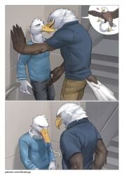 accipitrid accipitriform anatid anseriform anthro avian bald_eagle beak bird brown_body brown_feathers clothed clothing comic duck duo eagle feathers feral feral_on_feral fondling heart_symbol hi_res inside larger_anthro larger_male male male/male muscular muscular_male open_beak open_mouth pngx sea_eagle sex size_difference smaller_anthro smaller_male stairs tail tail_feathers text unzipping unzipping_pants url white_body white_feathers winged_arms wings yellow_eyes