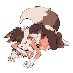 4_fingers absurd_res anthro arm_tuft big_tail biped bodily_fluids breast_squish breasts brown_body brown_fur canid canine character_request elbow_tuft erection female fingers fluffy fluffy_tail fur genital_fluids genitals gurumo hand_on_breast hi_res leaking_precum lying male mammal markings on_back on_top orange_body orange_fur penis precum squish striped_markings striped_tail stripes tail tail_markings tuft