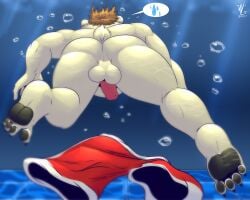 4_toes absurd_res accident accidental_exposure anthro ass balls bear bubble clothing denlusty digital_media_(artwork) erection feet fingers fur genitals hair hi_res male male_only mammal nude penis polar_bear solo speech_bubble swimming_trunks swimwear tail toes underwater ursine water white_body white_fur