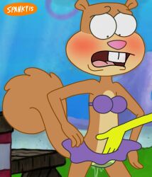 bikini fingering furry nickelodeon parody rape sandy_cheeks spanky15 spongebob_squarepants spongebob_squarepants_(character) squirrel underwear