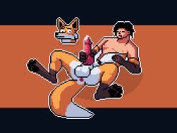 8bit_familiar animal_genitalia animal_penis anthro ass balls bodily_fluids canid canine canine_genitalia canine_penis clothing costume digital_media_(artwork) fox fursuit genital_fluids genitals knot lying male male_only mammal masturbation on_back paws penis pixel_(artwork) precum sheath solo suit_transformation tail transformation