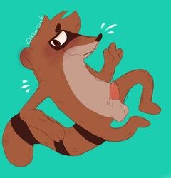 anthro balls blush cartoon_network erection genitals male male_only mammal nude penis procyonid raccoon rdafterdark regular_show rigby_(regular_show) simple_background smile solo solo_focus