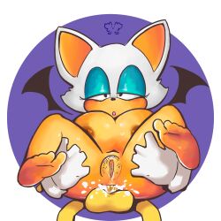 animated loop rouge_the_bat sonic_(series) tagme tails_the_fox