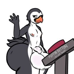 alcid animated anthro ass avian balls balls_bigger_than_penis big_balls big_balls_small_penis big_butt bird black_body blinking derp_eyes digital_media_(artwork) english_text feathers femboy flaccid frooby genitals hi_res huge_balls huge_butt hyper hyper_balls hyper_butt hyper_genitalia lari male nipples nude oversized_balls penis puffin pushbutton pushing_button smile solo tail tail_feathers text white_body