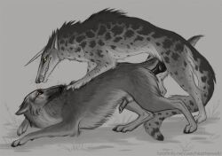 Animal Genitalia Rule 34 Image