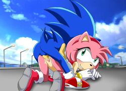 amy rose from sonic (series) by bbmbbf