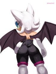 rouge the bat from sega by soranygy