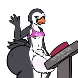alcid animated anthro ass avian balls balls_bigger_than_penis big_balls big_balls_small_penis big_butt bird black_body blinking bottomless clothed clothing derp_eyes digital_media_(artwork) english_text feathers flaccid frooby genitals hi_res huge_balls huge_butt hyper hyper_balls hyper_butt hyper_genitalia ill_fitting_clothing lari male nipples oversized_balls penis puffin pushbutton pushing_button raised_clothing raised_topwear shirt skimpy smile solo tail tail_feathers tank_top text topwear topwear_only white_body