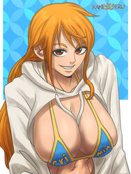 nami (one piece) from one piece by kameseru