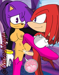 ashley_the_hedgehog catrashley18 cum impregnation knuckles_the_echidna ovum pregnant sonic_(series) sonic_the_hedgehog