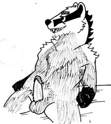 2016 anthro badger balls bedroom black_eyes black_nose cheek_tuft chest_tuft chin_tuft clenched_fists clenched_hands collarbone erection eye_bags facial_markings facial_stripes facial_tuft fist furry genitals gloves_(marking) graphite_(artwork) greyscale head_markings humanoid_genitalia humanoid_penis leaning leaning_back male mammal markings monochrome mustelid musteline neck_tuft open_mouth open_smile penis pubes scruffy sharp_teeth shoulder_tuft simple_background sitting smile solo spiff striped_face stripes teeth tristan_growlagher_(spiff) tuft white_background white_pubes