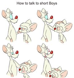 animaniacs_(2020) anthro blush brainsister duo hand_on_head heart hi_res hulu implied_fellatio implied_oral male male/male mammal mouse murid murine pinky_(warner_brothers) pinky_and_the_brain rodent the_brain tongue tongue_out warner_brothers