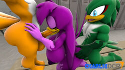 ! 2boys 3d anthro avian balls beak blowjob breasts charliedcr feathers fellatio female fox green_body green_feathers hawk heart jet_the_hawk male orange_body penis purple_body purple_feathers sex sonic_(series) sonic_riders straight swallow_(bird) tails thick_thighs tuft wave_the_swallow white_body