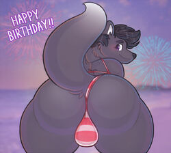 2018 anthro ass backsack balls big_butt bikini black_hair black_nose bubble_butt butt_focus canid canine clothed clothing crossdressing dipstick_tail english_text fireworks fox fur genitals girly grey_body hair huge_butt huge_thighs hyper hyper_thighs inner_ear_fluff looking_at_viewer looking_back male mammal monotone_body multicolored_tail outside phurcy pkaocko presenting presenting_hindquarters purple_eyes shaded solo swimwear text thick_thighs tuft wide_hips