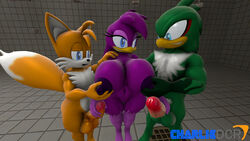 ! 2boys 3d anthro avian balls beak breast_grab breasts charliedcr feathers female fox grabbing green_body green_feathers hair hawk heart jet_the_hawk male orange_body penis penis_grab purple_body purple_feathers purple_hair sonic_(series) sonic_riders straight swallow_(bird) tails thick_thighs tuft wave_the_swallow white_body