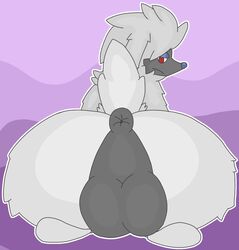 furfrou from nintendo by drpepperscalie