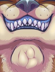 anthro blue_flesh bulge canine furry furry_only hi_res lutrine macro mammal micro mustelid open_mouth oral roco shirou size_difference swallowing teeth throat tongue vore