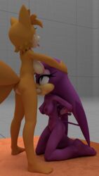 1futa 3d avian bird blowjob canine duo fellatio female fox furry futanari hair n3 penis purple_body purple_hair rule_63 sonic_(series) sonic_riders swallow_(bird) tail_feathers tails tailsko tongue tongue_out wave_the_swallow yellow_body yellow_fur yellow_hair