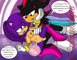 ashley_the_hedgehog catrashley18 cum impregnation ovum pregnant shadow_the_hedgehog sonic_(series) text