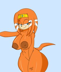 tikal the echidna from sonic (series) by tanglefox