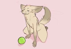 ball balls blep bodily_fluids canid canine fennec fox genitals hi_res jackie_(securipun) male male_only mammal nude saliva saliva_string securipun solo tennis_ball tongue tongue_out