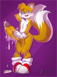 tails the fox from sega by negullust